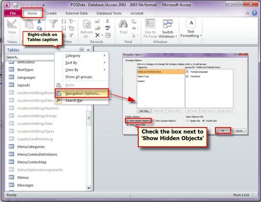 Viewing Hidden Objects in MS Access 2010